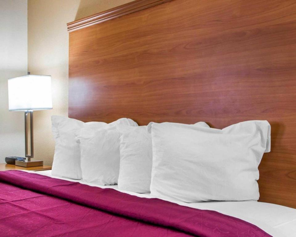 Quality Inn Ottawa Near Starved Rock State Park Eksteriør billede