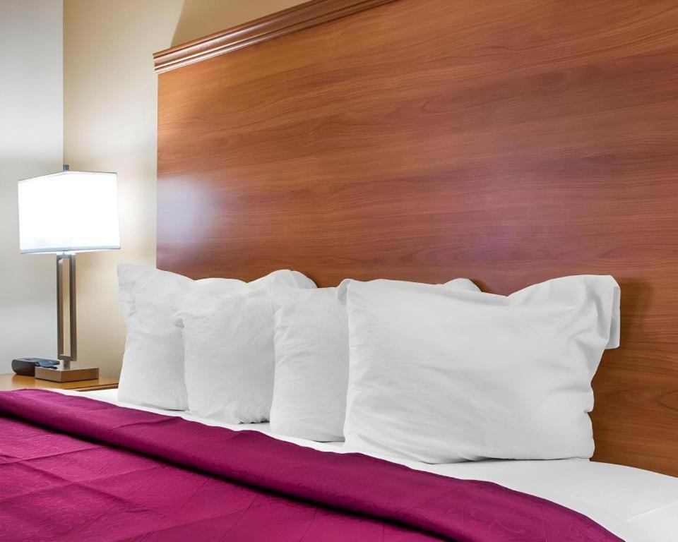Quality Inn Ottawa Near Starved Rock State Park Eksteriør billede